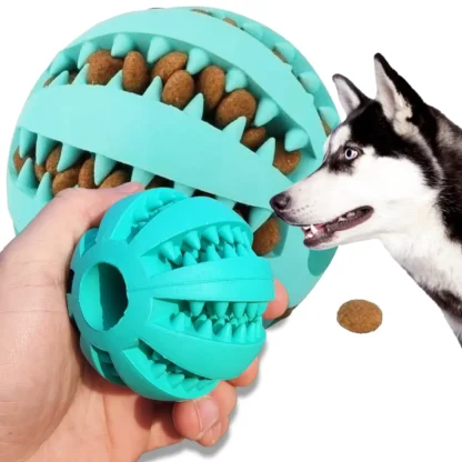 duża piłka na zęby dla psa