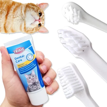 zestaw do mycia zębów kota
