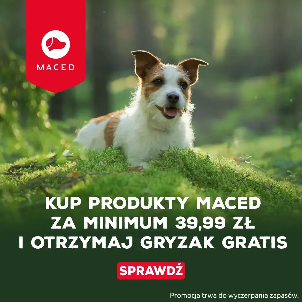 Promocja Maced gryzak gratis dla psa